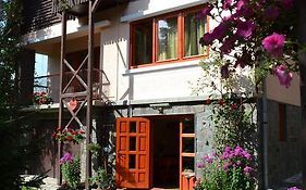 Hostal Casa Camelia